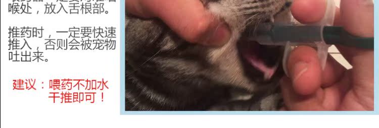 Thiết bị cho ăn vật nuôi chó mèo ăn thanh mèo cho chó ăn thuốc rắn chất lỏng kim phun nhỏ giọt - Cat / Dog Medical Supplies súng tiêm thuốc