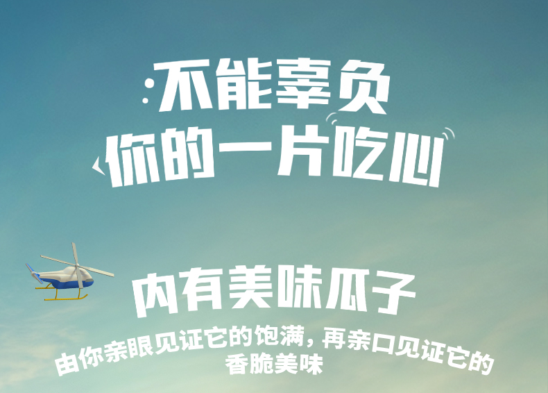 天猫超市 洽洽 山核桃味葵花籽 500g*2件 图9