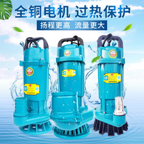 Amt Sewage Pump Clear Water Pump Home Submersible Pump 220V Agricultural Pumping Water Pump Sewerage Pump Irrigation Pump