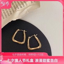 Hong Kong (designer)RVY 2021 new earrings womens light luxury niche earrings circle earrings female trend