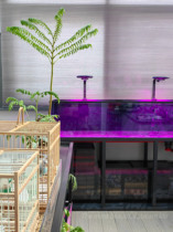 Wild gold crystal to pure glass backpack bottom filter ultra-transparent thunder dragon stream goldfish seawater South American tank set from three sides