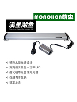 Stream Lake Fish Optimization Lamp Algae Burst Lamp Native Tank Native Fish Stream Tank Moe Lamp Fish Tank Lamp