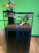 To pure turtle tank home living room small villa breeding box large turtle special tank ecological fish tank house landscaping