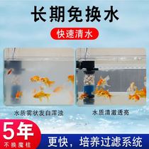 Small fish tank oxygenated water circulation filtration integrated machine system oxygen production manure collection separator water quality artifact equipment equipment