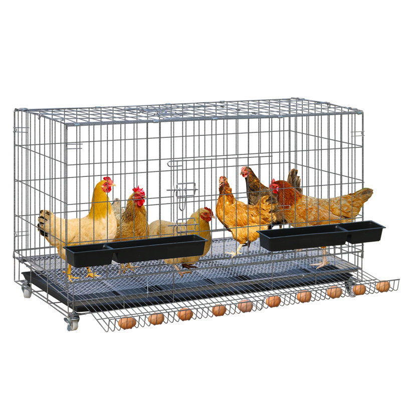 Chicken Cage Automatic Manure Rolling Egg home Outdoor Rain-proof Ducks Goose Surrounding cage Chicken Farms Extra-large Chicken Coop Cage