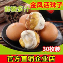 Jinfeng chicken huo zhu zi 13 days fluffy egg sister till Nanjing Phoenix egg ready-to-eat 30 Xin Liuhe tempered eggs