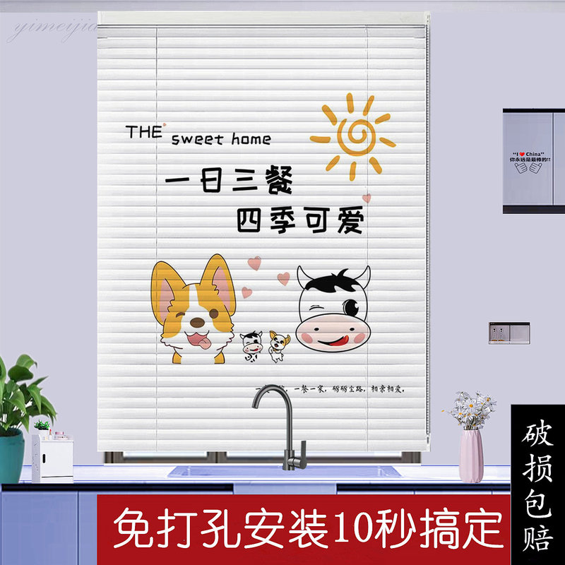 Blinds Without Drilling Holes, Curtains for Bathroom, Bedroom, Office, Shower Room, Blackout Roller Blinds, New Style for Home Use