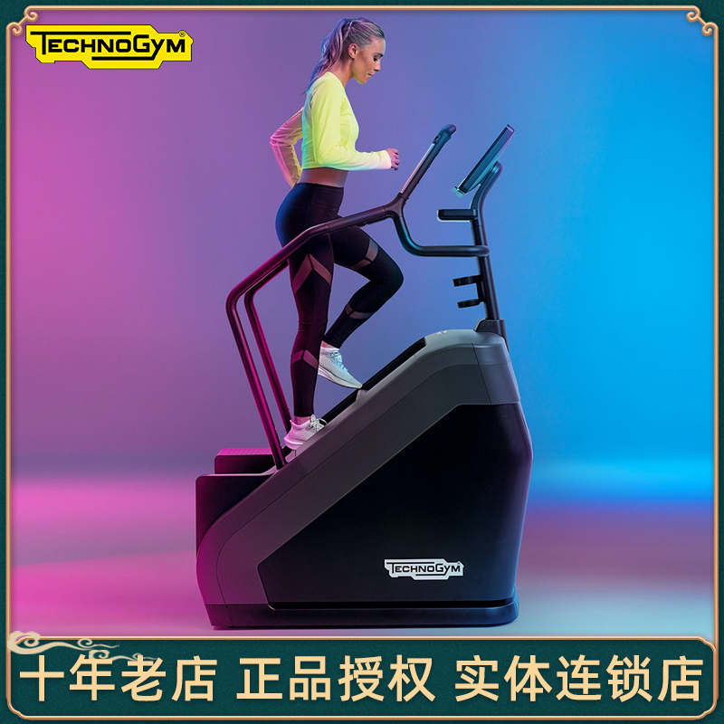 Technogym Technogym stair machine Climb mountaineering stepper high-end home gym equipment import