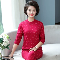 Jujube Red Printed 730 Set (средний воротник)