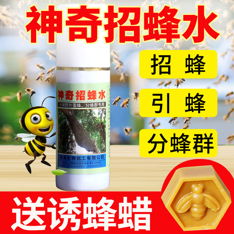 The Beehives water Amazing bee Water Bee information Supredation in the wild Bee Hives Bee Beehives Dedicated To Beeswax