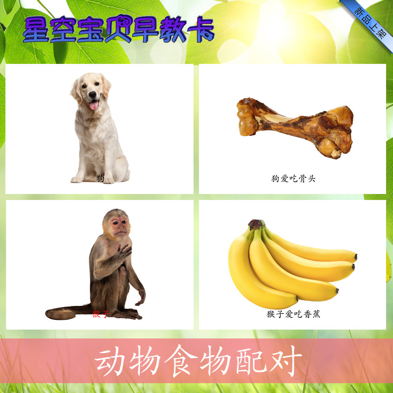 What Eat What Animal Food Paired Cognitive Card Autism Training Card ABA Language Teaching Plastic Card