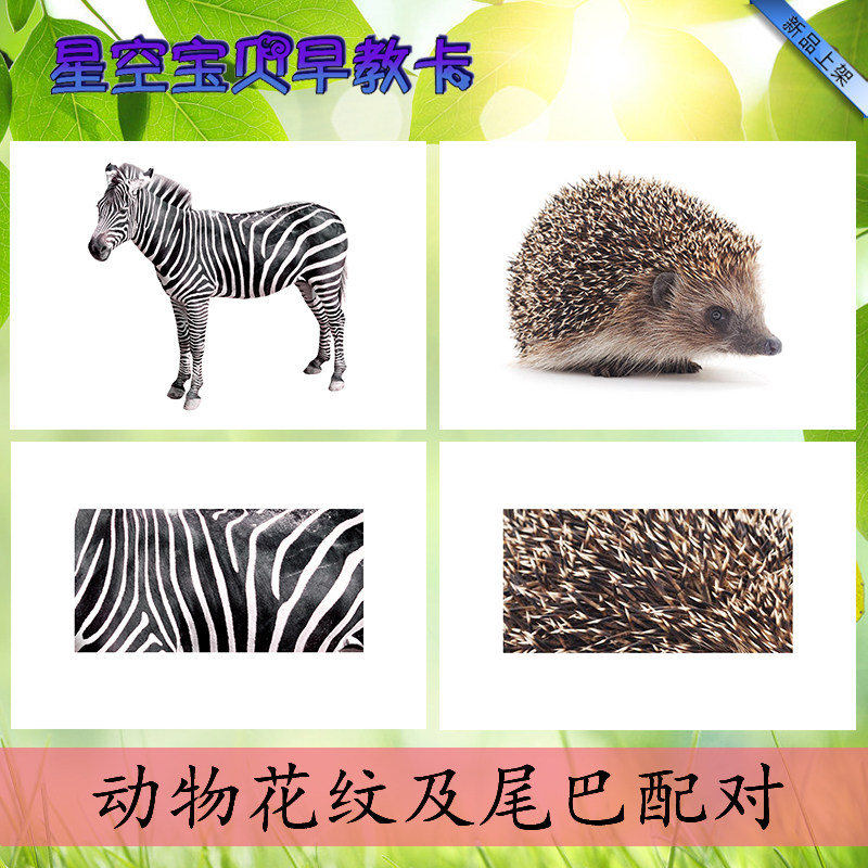Animal tail pattern pairing autism autism rehabilitation training teaching children early teaching cognitive plastic sealing card