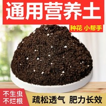 Nutritional soil nurturation universal special soil planting soil seed flower special nutrient soil nutrient soil potted plant universal