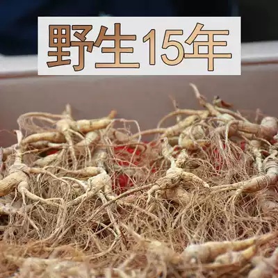 Wild mountain ginseng More than 15 years Changbai Mountain wild ginseng seeds Sea mountain ginseng Forest ginseng Soup wine gift tonic