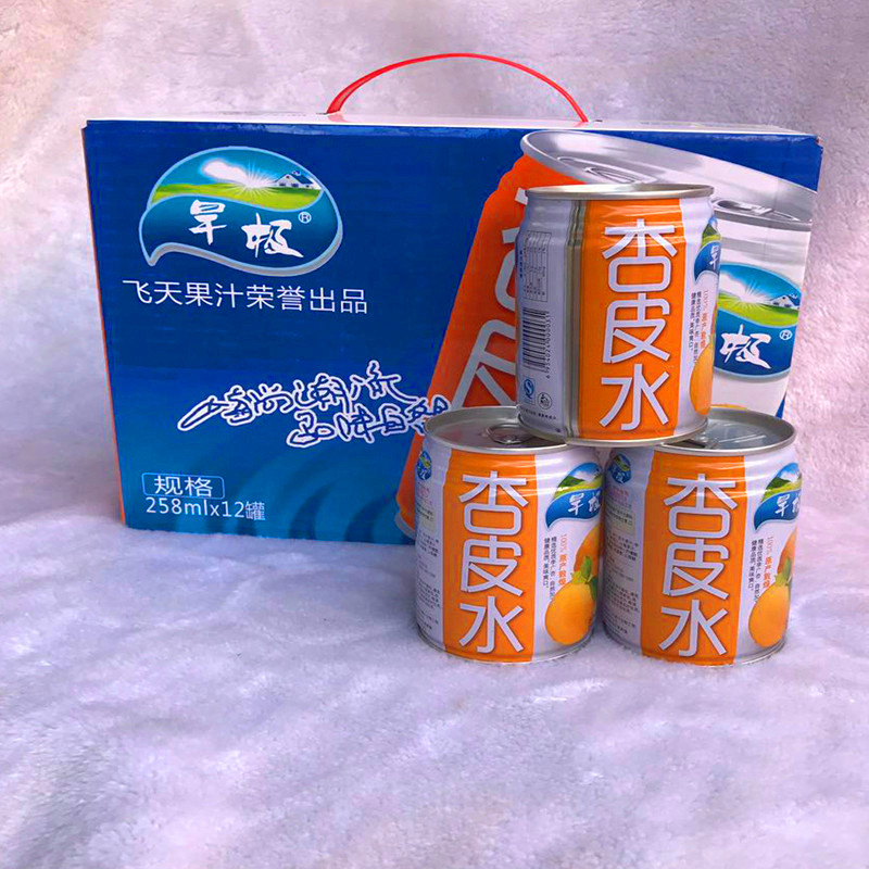 Gansu Dunhuang specialty Feitian fruit juice dry pole apricot peel water apricot peel tea Li Guang apricot skin water gifts