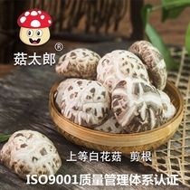 Mushrooms Taro Export White Flower Mushrooms 250g Farmhouse Mushrooms Dried Goods Mountain Stock Linen Wood Flower Mushrooms Cut Foot Winter Mushrooms Grinding Mushrooms