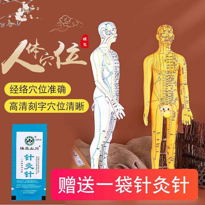 人体模型中医针灸穴位图全身经络通练习皮人可扎针教学医学小铜人
