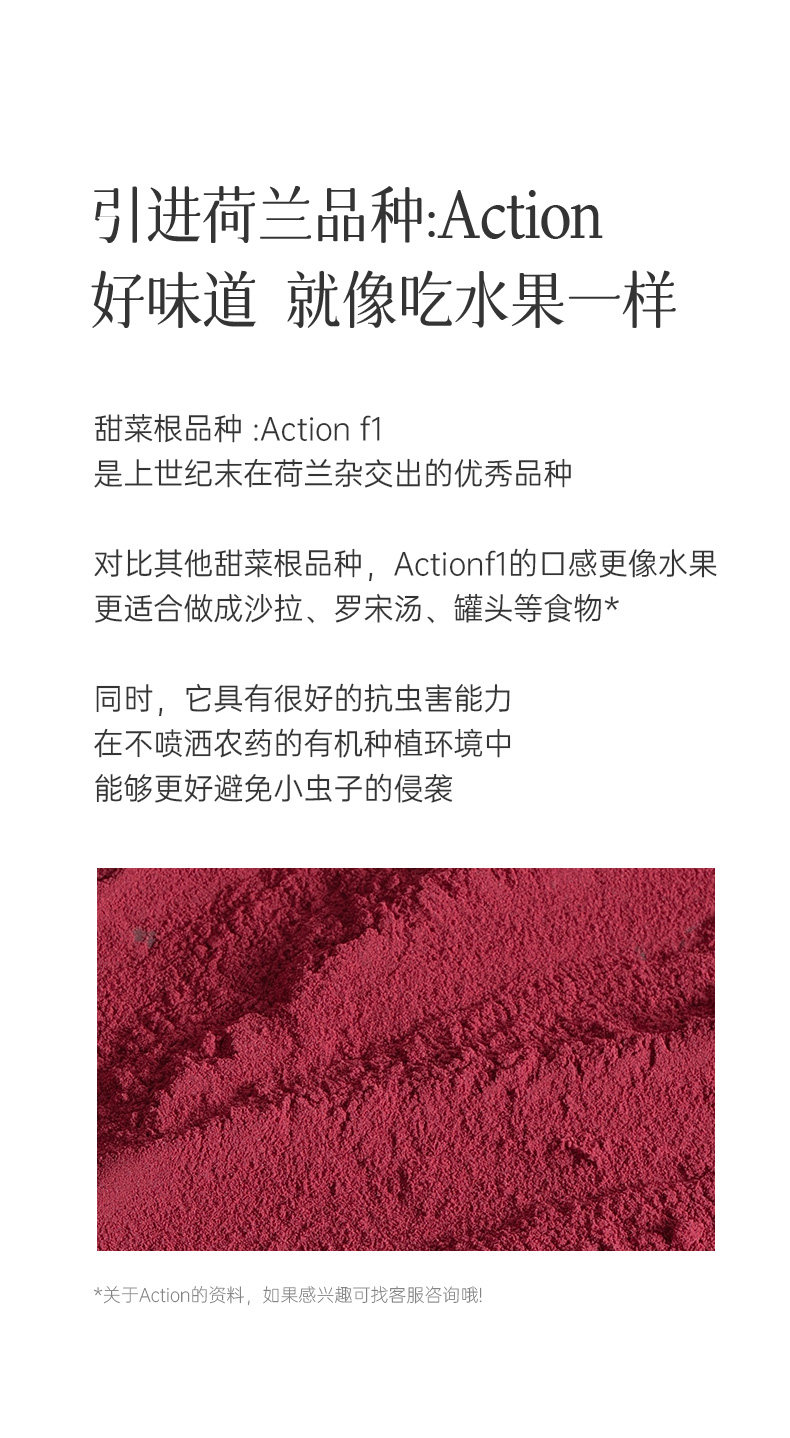 【中国直邮】 均衡大师 有机甜菜根粉 铁叶酸健身补剂硝酸盐跑步体育生 60g