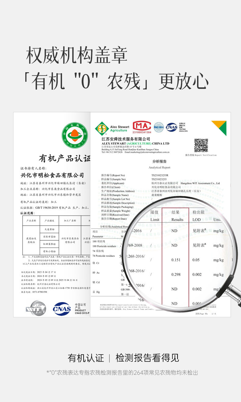 【中国直邮】 均衡大师 有机甜菜根粉 铁叶酸健身补剂硝酸盐跑步体育生 60g