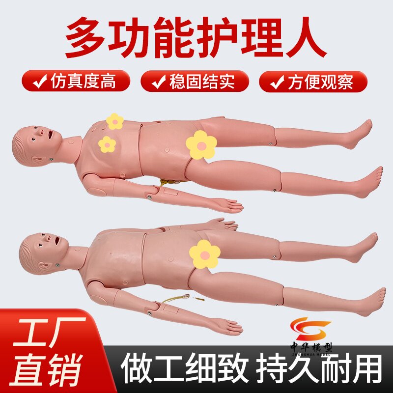 人体模型护理训练组合式多功能穿刺输液 男女导尿 心肺复苏模拟人