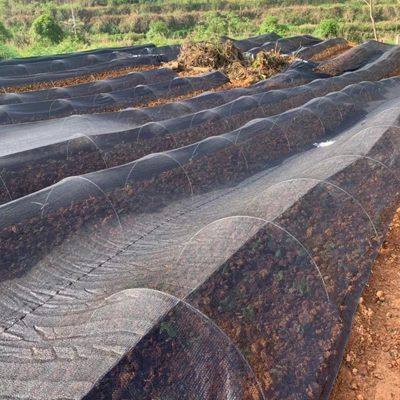 Greenhouse skeleton inner shed greenhouse fiber rod bracket small arch shed arch pole vegetable agricultural sunshade net bow shed glass steel