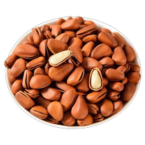 Pine nuts extra large northeast 2023 new arrival open pine nuts hand peeled roasted nuts official wholesale flagship store
