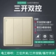 【Mid -Aboard G36 Gold】 Sankai Dual Control