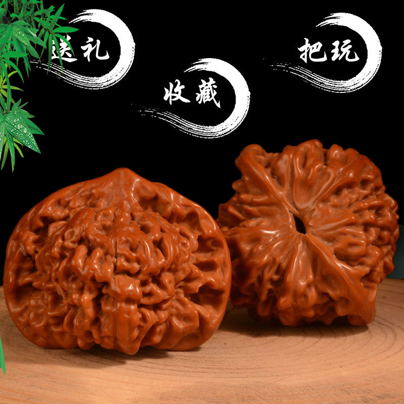 Wild Wellness Play Walnut Kirin Tattoo Major Hat Play with colored Massachusetts Collection Gift Size 49 - 50 tip