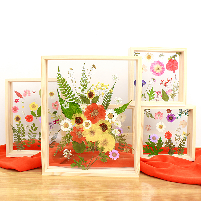 Solid Wood Acrylic Specimen Photo Frame Double-Sided Transparent Photo Paper-Cut Display Frame Three-Dimensional Picture Frame Handmade DIY Display Stand