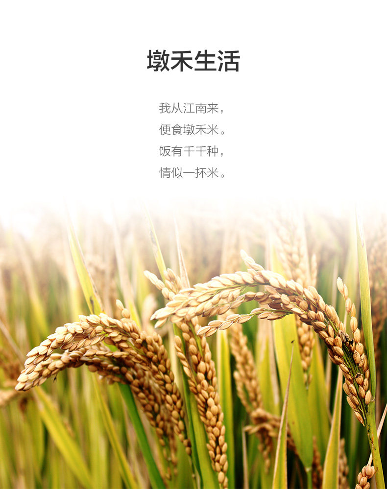 Hetian Daoxiang- (2) _11.jpg