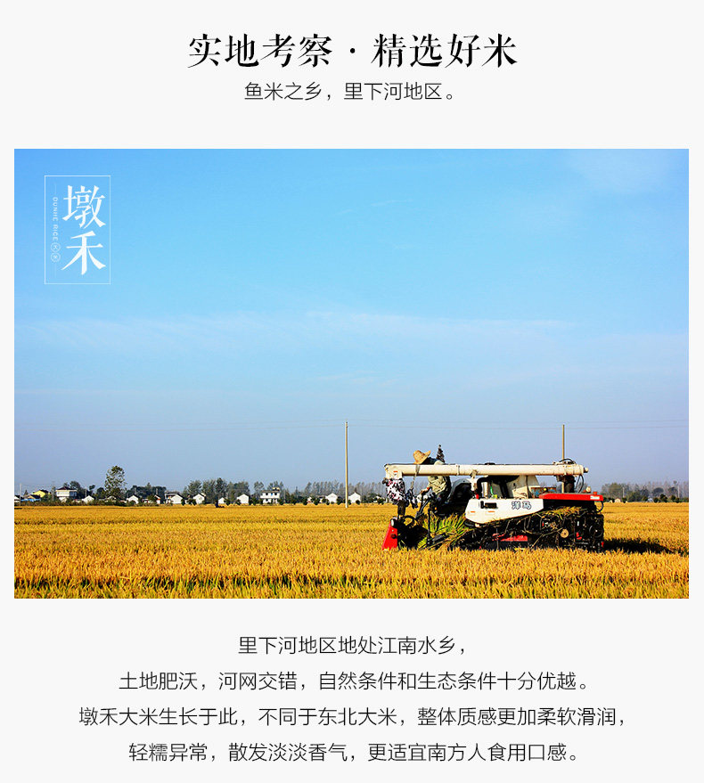 Dun he xiangmi 5 фунтов_05.jpg