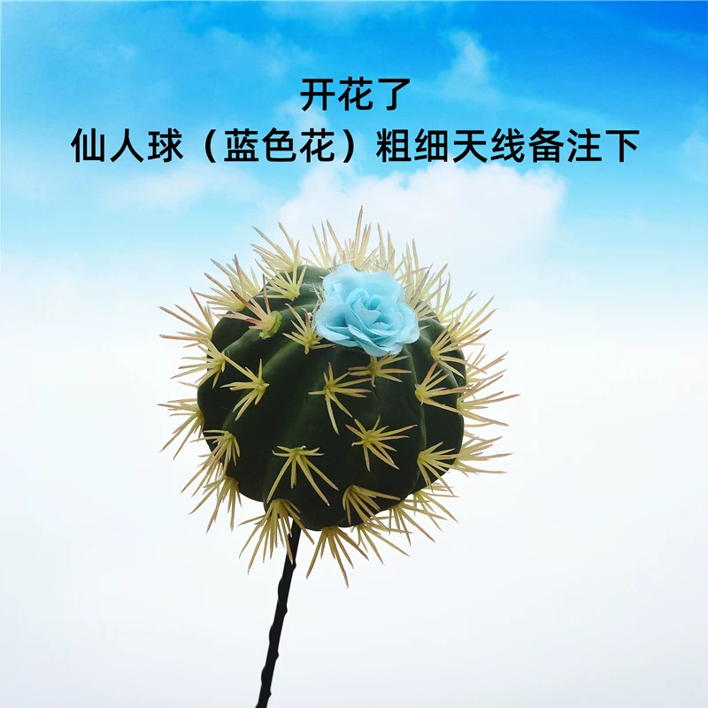 Декорация антенны для Wuling Hongguang MINI Maca Ice Cream QQ: кактус, цветок кактуса, модификация крыши, забавный шар для антенны
