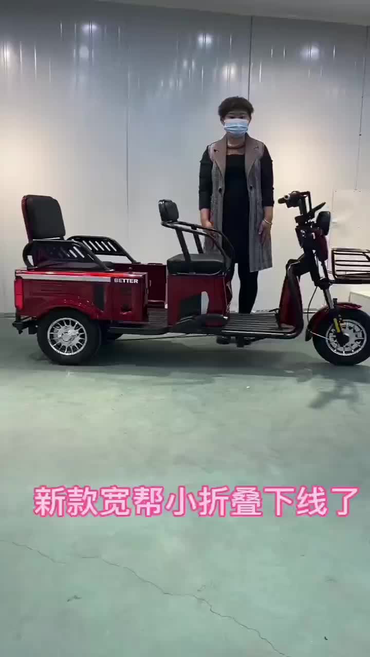 3 Wheel Cargo Electric Scooter