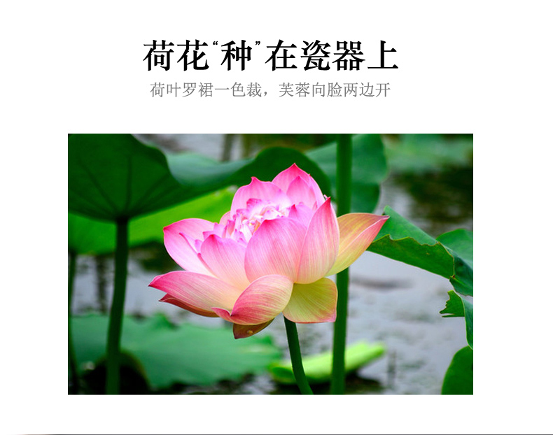 Your up ceramic pu 'er tea canister elder brother elder brother up up seal pot celadon storage tank size tea boxes