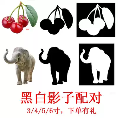 Teaching AIDS shadow matching card Lonely autistic children with developmental delay aba reference book practical exercise rehabilitation training card