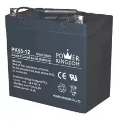 Triple Force Storage Battery PK55-12 Yu Guang Storage Battery 12V55AH Spot Direct New Quality Warranty