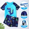 Children's swimsuit Boys 'two-piece swimming trunks suit Boys' middle and large children's quick-drying swimsuit Children's baby swimming equipment tide