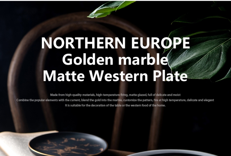 Nordic ins.net HongCan disc ceramic dish dish plate household creative marble plate beefsteak plate tableware