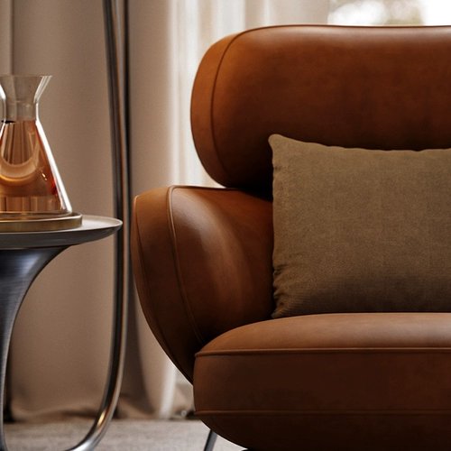 Жук повседневный стул дизайнер модель гостиной балкон -тайгер