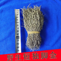 Sulfur-free smoked-single-foed gold 50g wild nutrition grass grass elimination grass dry goods Chinese herbal medicine childrens appetizing soup bag