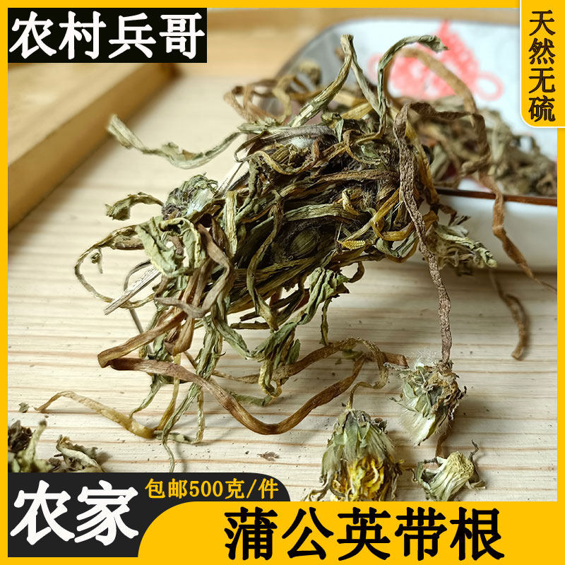 Wild dandelion root tea whole strain with root 500g Tgrade dry goods Chinese herbal medicine for another Bitter Din Tea Selfheal