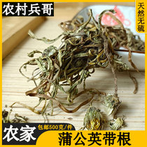 Wild dandelion root tea whole strain with root 500g Tgrade dry goods Chinese herbal medicine for another Bitter Din Tea Selfheal