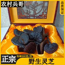 Super authentic pure wild Ganoderma lucidum 500g packaging gift box dry goods soak wine water health tea can be sliced