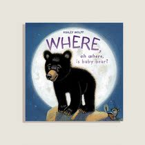 Where Oh Where Is Baby Bear? Hardcover special