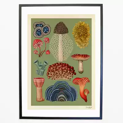 London illustrator Katie Scott ) Botanicum retro plant theme decorative painting
