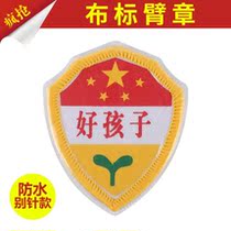 Listed with Good Child Badge Team Production Supervision Class Embroidery Shoulder Zhang Waterproof Kindergarten Value Day Birth Chest Signs