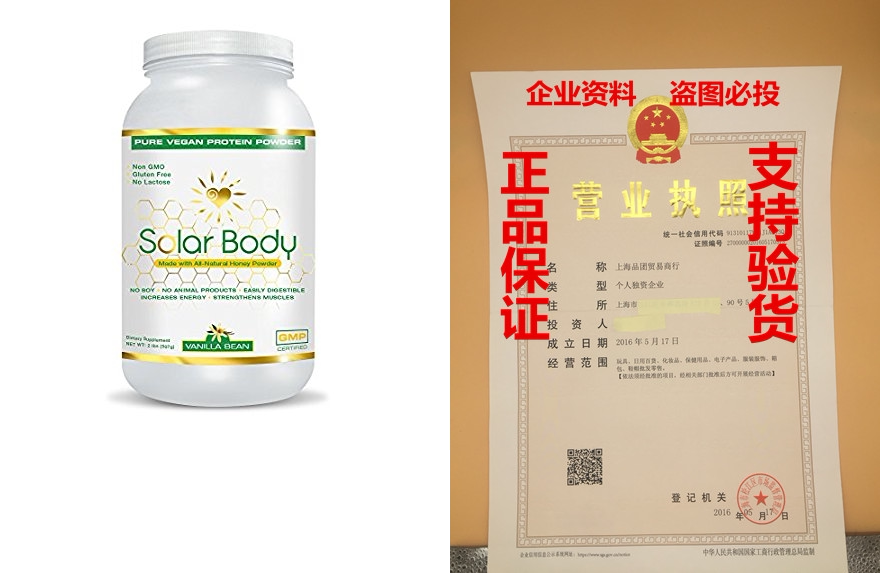 Solar Body Protein Powder Non GMO Vegan Protein Vanilla
