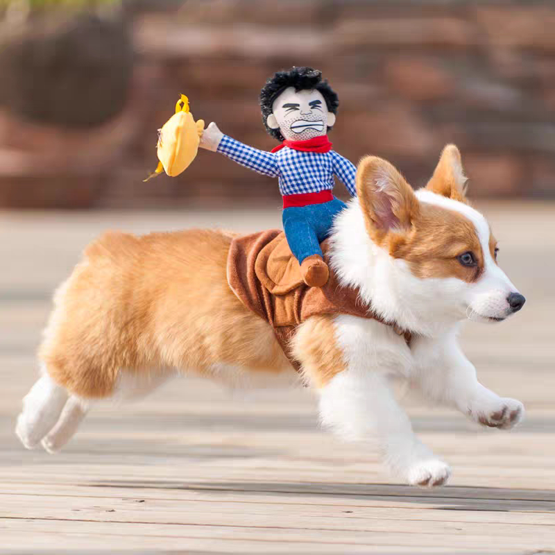 Funny Dog Clothes Pet Halloween Christmas Quirky Cosplay Horse Riding Transformation Outfit for Small Dogs Like Teddy and Corgi Funny Dog Clothes Pet Halloween Christmas Quirky Cosplay Horse Riding Transformation Outfit for Small Dogs Like Teddy and Corgi