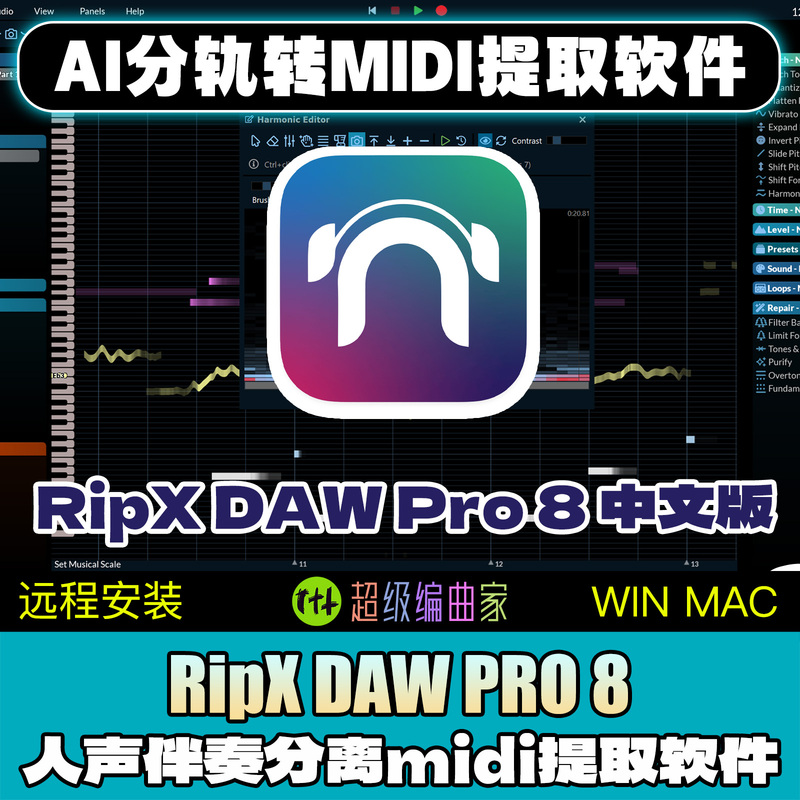 Ripx Daw Pro 8 Chinese Version Song Extraction and Accompaniment Instrument Separation Audio-To-Midi Software