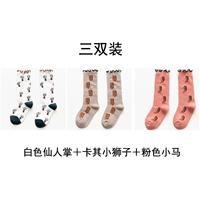 Белая розовая пони, кактус, лев